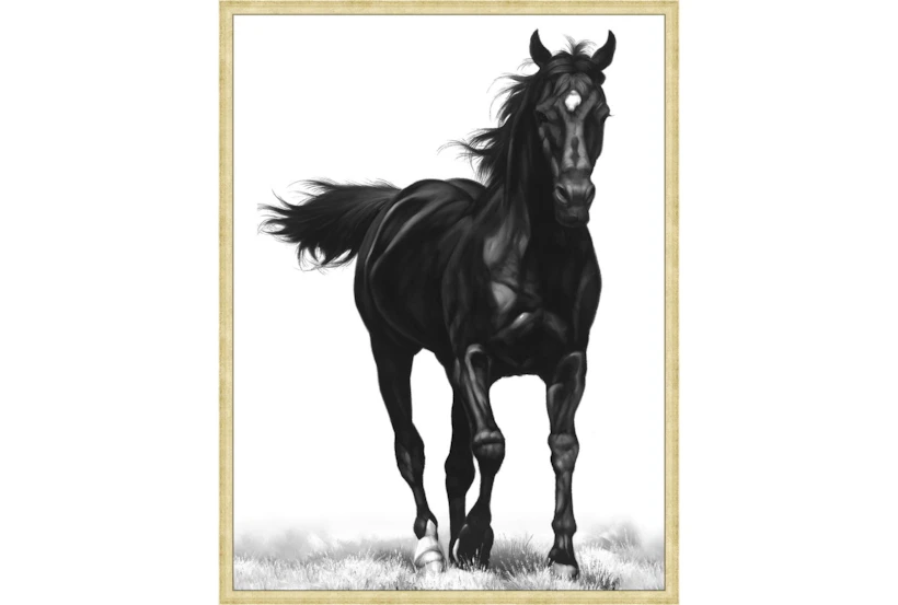 32X42 B&W Strong Stallion With Bronze Gold Frame - 360