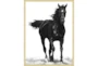 32X42 B&W Strong Stallion With Bronze Gold Frame - Signature