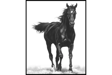 42X52 B&W Strong Stallion With Black Frame