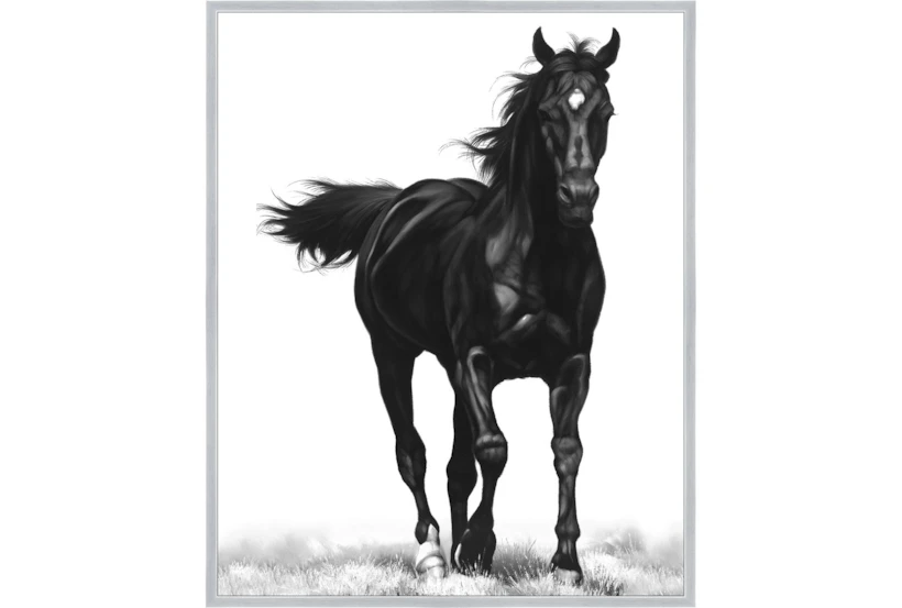 42X52 B&W Strong Stallion With Silver Frame  - 360