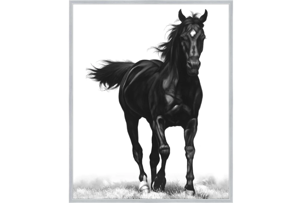 42X52 B&W Strong Stallion With Silver Frame 