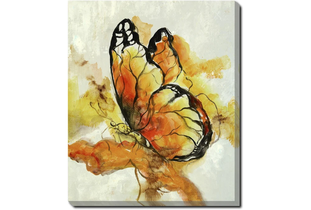 20X24 The Monarch With Gallery Wrap Canvas