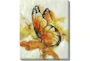 20X24 The Monarch With Gallery Wrap Canvas - Signature