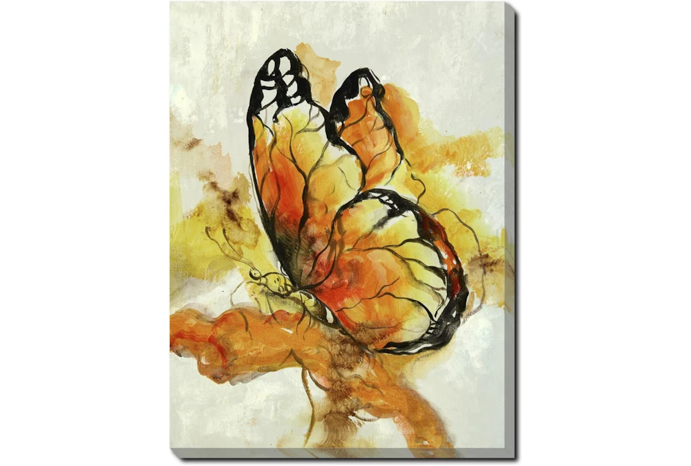 30X40 The Monarch With Gallery Wrap Canvas