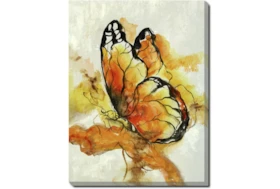 30X40 The Monarch With Gallery Wrap Canvas