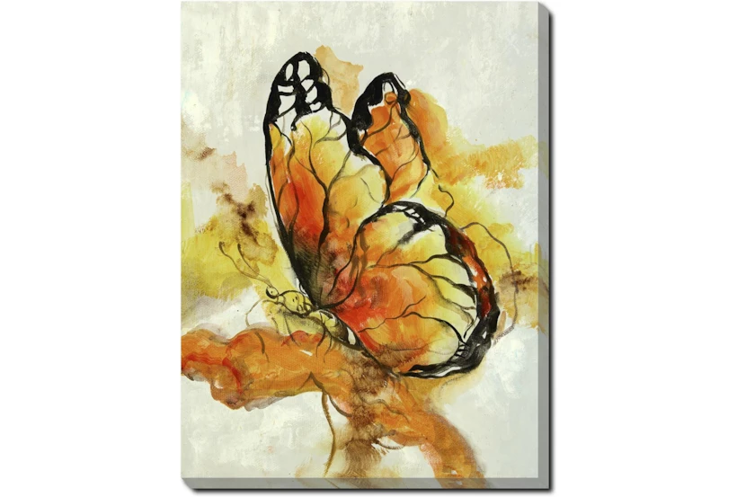 30X40 The Monarch With Gallery Wrap Canvas - 360