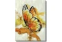 30X40 The Monarch With Gallery Wrap Canvas - Signature