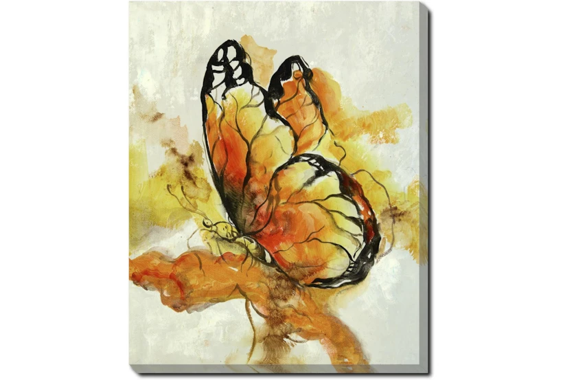  40X50 The Monarch With Gallery Wrap Canvas - 360