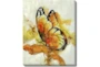 40X50 The Monarch With Gallery Wrap Canvas - Signature