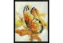 22X26 The Monarch With Black Frame  - Signature