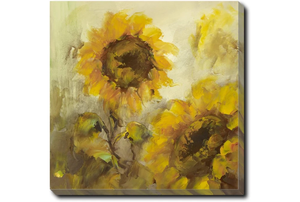 24X24 Sunflowers With Gallery Wrap Canvas