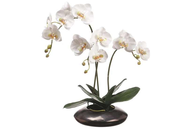 22" Artificial Orchid in Ceramic Pot - 360