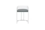 Maximus 26" Counter Stool With Back Set Of 2 - Front