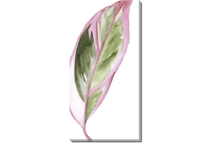 20X40 Blush Tropics II With Gallery Wrap Canvas - Signature