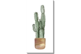 20X40 Tall Cactus With Gallery Wrap Canvas
