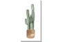 20X40 Tall Cactus With Gallery Wrap Canvas - Signature