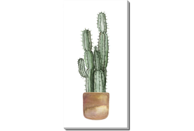 24X48 Tall Cactus With Gallery Wrap Canvas - 360