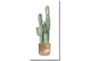24X48 Tall Cactus With Gallery Wrap Canvas - Signature