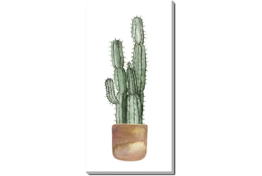 27X54 Tall Cactus With Gallery Wrap Canvas