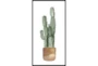 22X42 Tall Cactus With Black Frame - Signature
