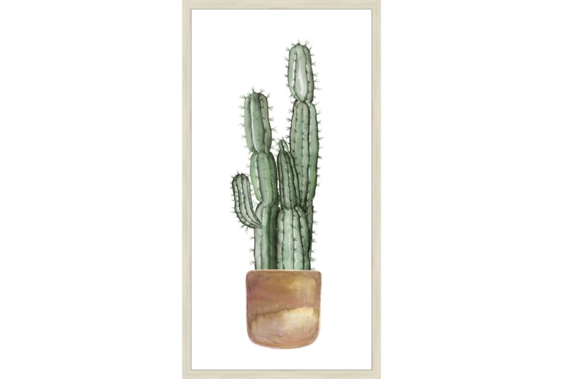 22X42 Tall Cactus With Birch Frame - 360