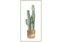 22X42 Tall Cactus With Birch Frame - Signature