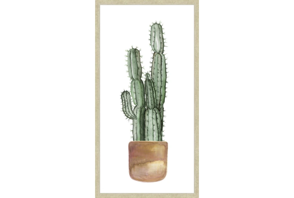 22X42 Tall Cactus With Champage Frame