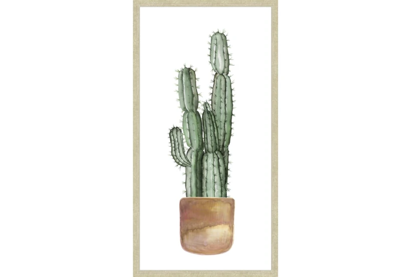 22X42 Tall Cactus With Champage Frame - 360