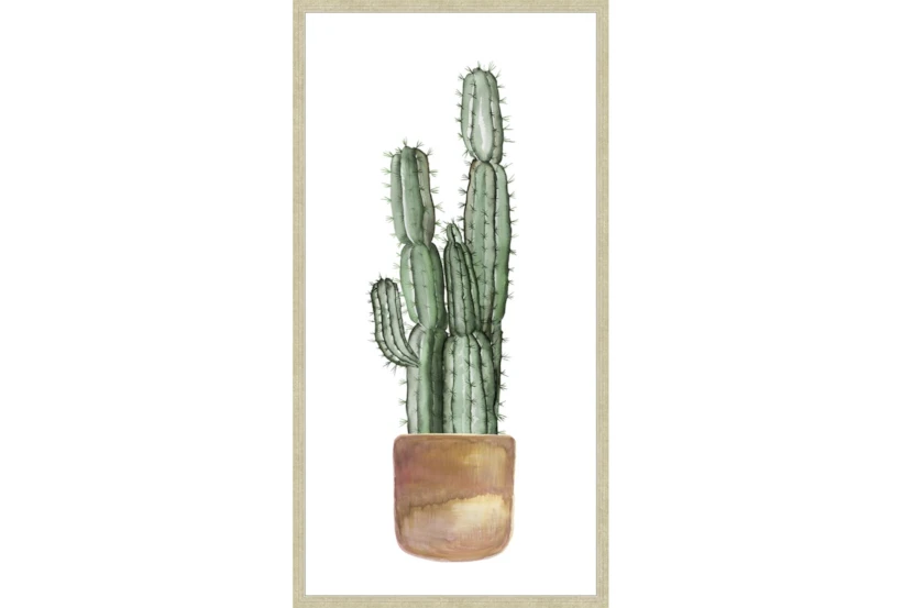26X50 Tall Cactus With Champage Frame - 360