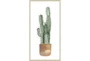 26X50 Tall Cactus With Champage Frame - Signature
