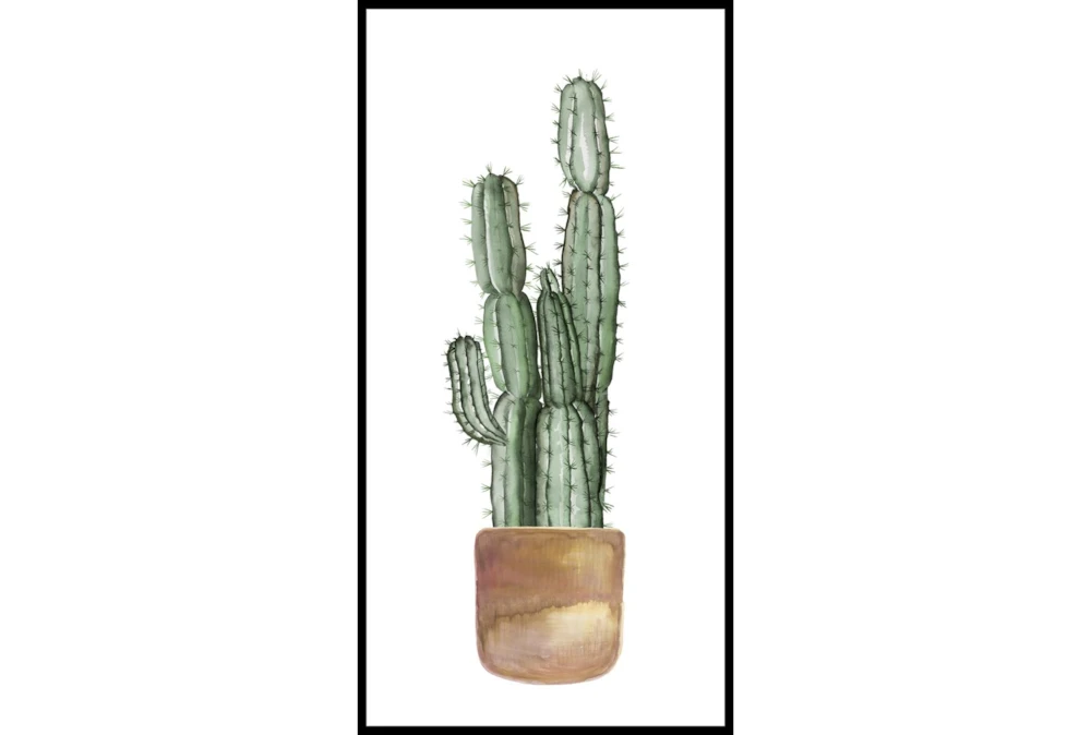 29X56 Tall Cactus With Black Frame