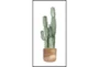 29X56 Tall Cactus With Black Frame - Signature