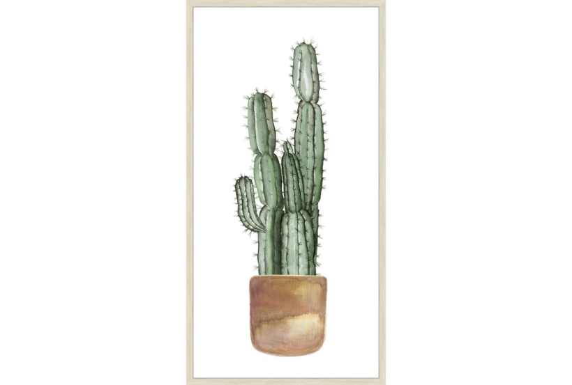 29X56 Tall Cactus With Birch Frame - 360