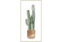 29X56 Tall Cactus With Birch Frame - Signature