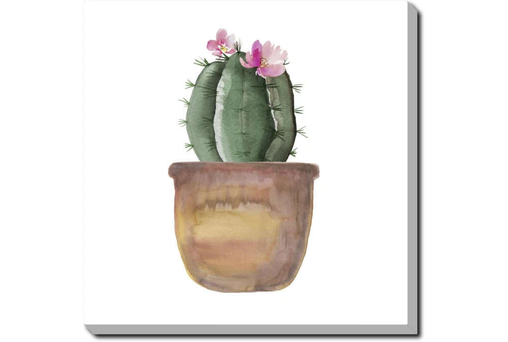 24X24 Blooming Cactus With Gallery Wrap Canvas