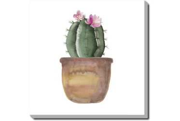 24X24 Blooming Cactus With Gallery Wrap Canvas