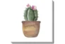 24X24 Blooming Cactus With Gallery Wrap Canvas - Signature