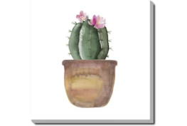 36X36 Blooming Cactus With Gallery Wrap Canvas