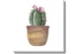 36X36 Blooming Cactus With Gallery Wrap Canvas - Signature