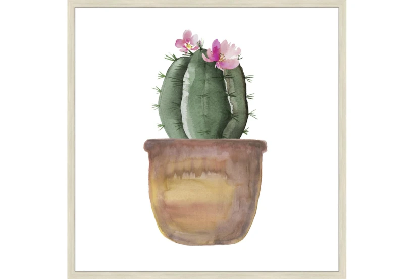 38X38 Blooming Cactus With Birch Frame - 360