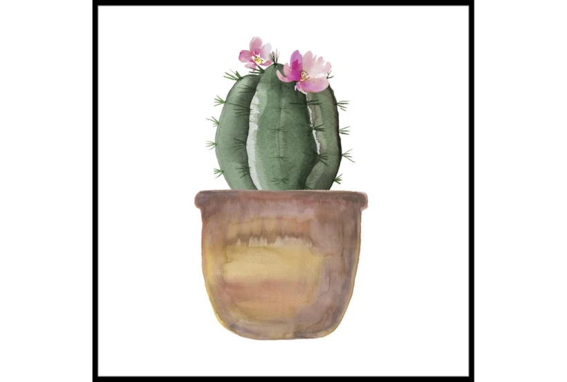 47X47 Blooming Cactus With Black Frame - 360