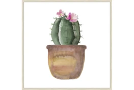 45X45 Blooming Cactus With Brich Frame