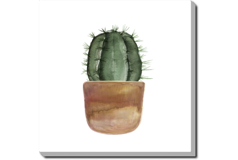 24X24 Short Cactus With Gallery Wrap Canvas - 360