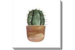 36X36 Short Cactus With Gallery Wrap Canvas