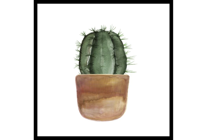 26X26 Short Cactus With Black Frame - 360