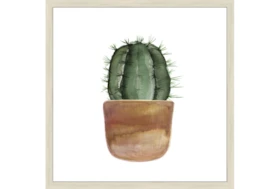 26X26 Short Cactus With Birch Frame