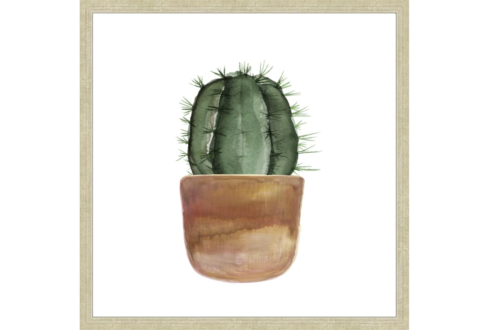 26X26 Short Cactus With Champage Frame