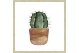 26X26 Short Cactus With Champage Frame