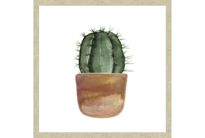 26X26 Short Cactus With Champage Frame - 360