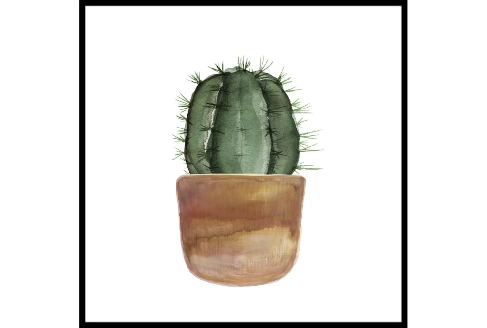 36X36 Short Cactus With Black Frame
